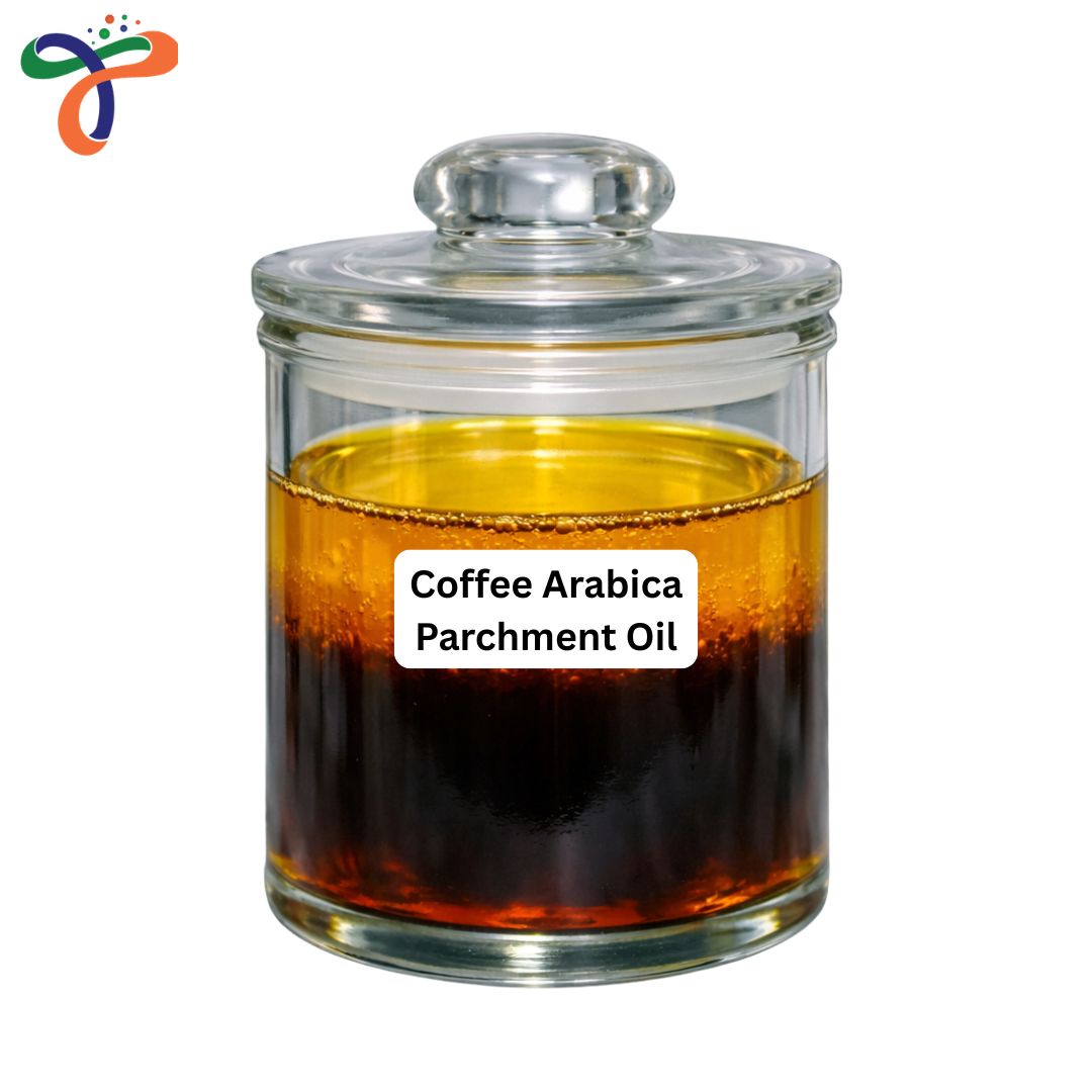 Coffee Arabica Parchment Oil
